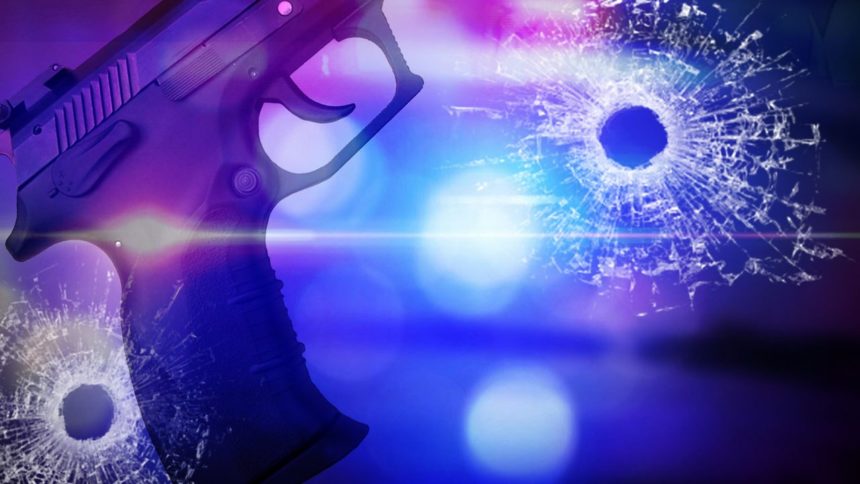 police20gun20logo_1542237588852.jpg_18964825_ver1.0