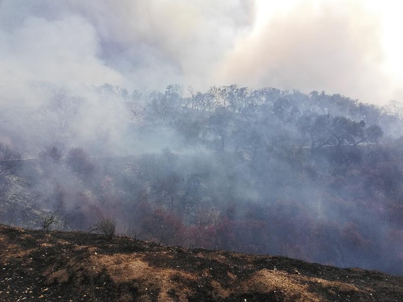 CACHAGUA FIRE PHOTO 1