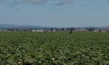 farmworkers, Salinas