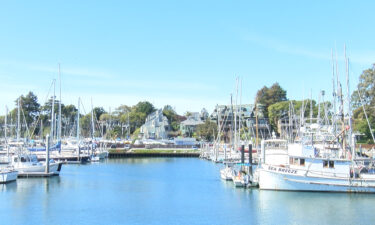 moss landing, salmon season, monterey