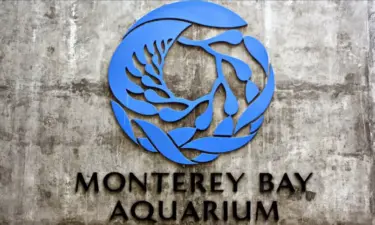 monterey bay aquarium, aquarium union, monterey bay aquarium unionize