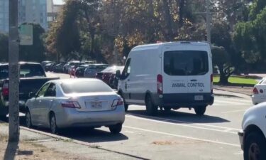The family says they fear the deadly attack may be part of a much larger pattern involving the same dogs and their owner.