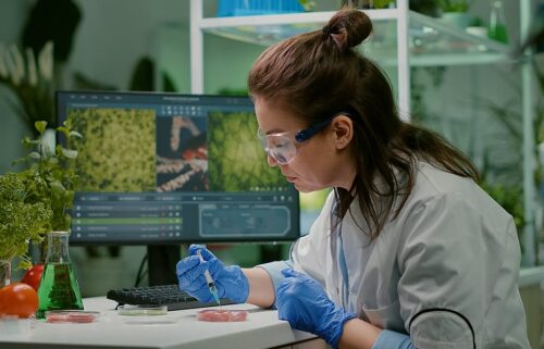 What will we eat for protein in 2030? Inside the next protein revolution