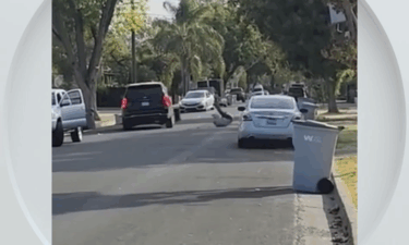 Woodland police are investigating a traffic collision involving a vehicle operated by federal immigration authorities and a pedestrian Tuesday morning.