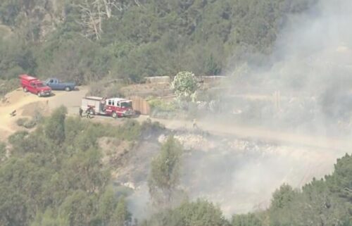 Fire crews are on the scene after a fire broke out in the hills above the UC Berkeley campus Tuesday morning.