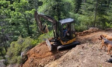 Two men charged with illegal gold mining in the Sierra along with felony vandalism of public land and private property entered no contest pleas