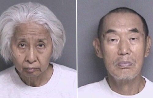 An elderly California couple has pleaded not guilty to murder charges in connection with the deadly shooting of their son-in-law